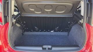 FIAT Panda usata, con Climatizzatore