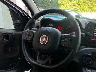 FIAT Panda usata 27