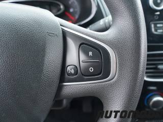 RENAULT Clio usata 15
