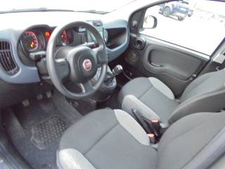 FIAT Panda usata 17
