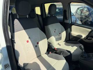 FIAT Panda usata 3