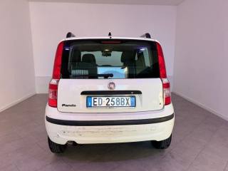 FIAT Panda usata 8