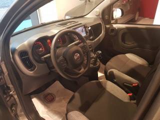 FIAT Panda usata, con Autoradio