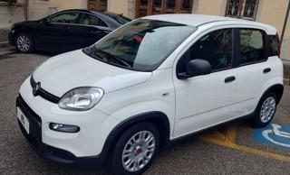 FIAT Panda usata, con ESP