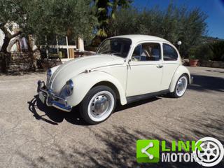 VOLKSWAGEN Maggiolino usata 2