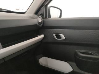 DACIA Spring usata, con Volante multifunzione