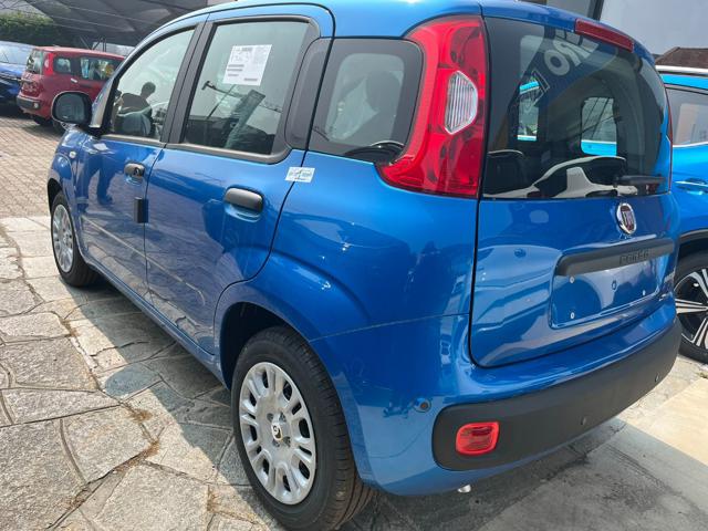 FIAT Panda usata 15