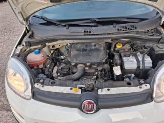 FIAT Panda usata 22