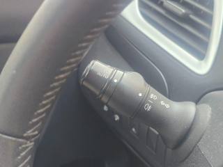 RENAULT Scenic usata, con Supporto lombare