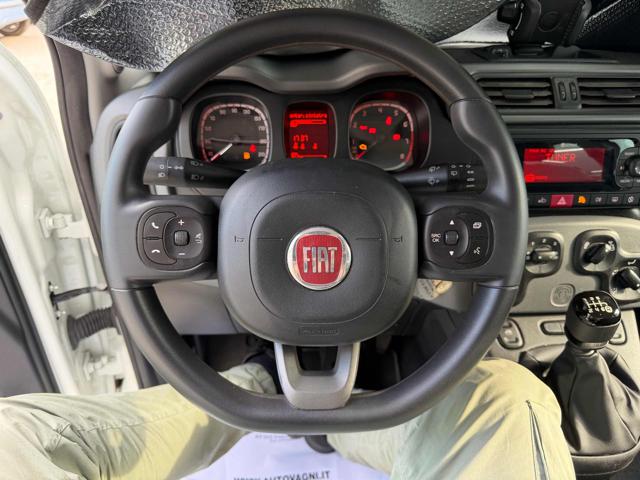 FIAT Panda usata 10