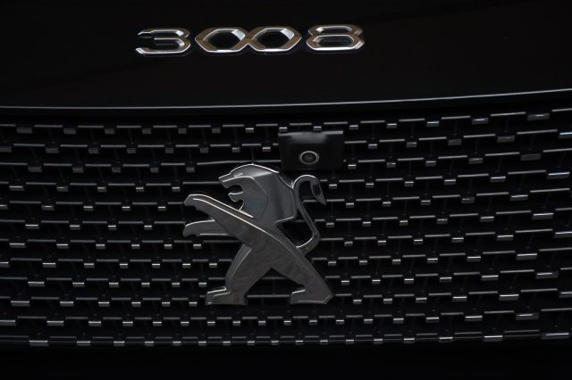 PEUGEOT 3008 usata, con Sensore di luce