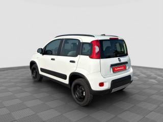 FIAT Panda usata 2