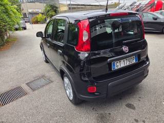 FIAT Panda usata, con Cerchi in lega