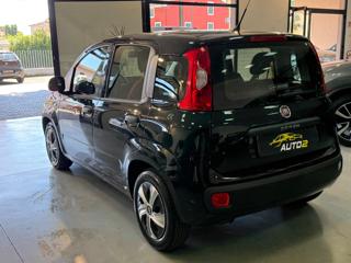 FIAT Panda usata, con Immobilizzatore elettronico