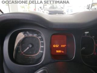 FIAT Panda usata, con Airbag testa