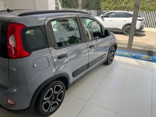 FIAT Panda usata, con Antifurto