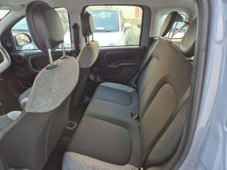 FIAT Panda usata, con Controllo trazione