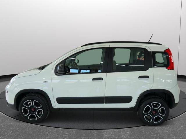 FIAT Panda usata 19