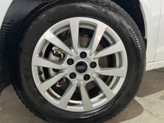 FORD Tourneo Connect usata, con Servosterzo