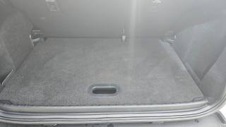 FORD EcoSport usata, con Specchietti laterali elettrici