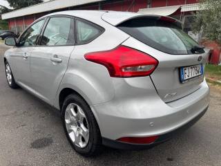 FORD Focus usata, con Autoradio