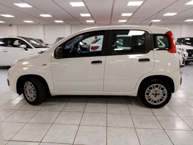 FIAT Panda usata, con Airbag