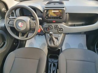FIAT Pandina usata, con Immobilizzatore elettronico