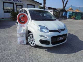 FIAT Panda 1.2 Pop 5 posti
