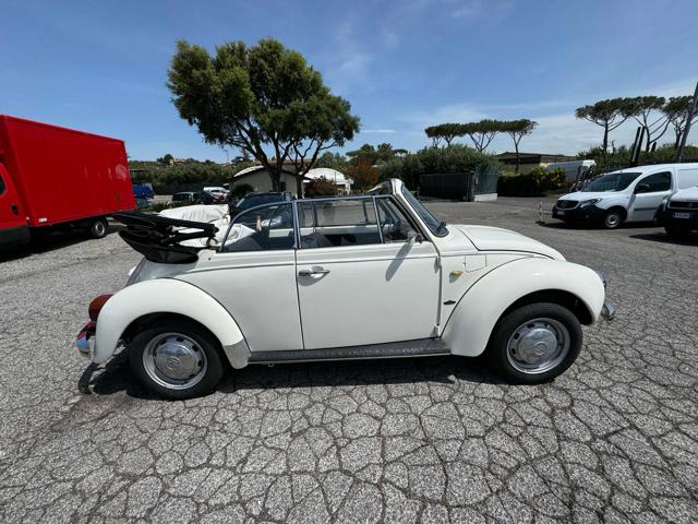 VOLKSWAGEN Maggiolone usata 13