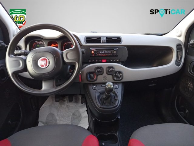 FIAT Panda usata, con Airbag testa