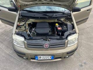 FIAT Panda usata 11