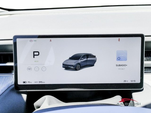 XPENG G6 usata 9