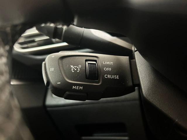 PEUGEOT 3008 usata, con Servosterzo