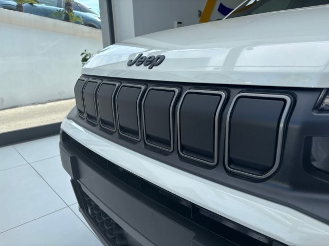 JEEP Avenger usata, con Cronologia tagliandi