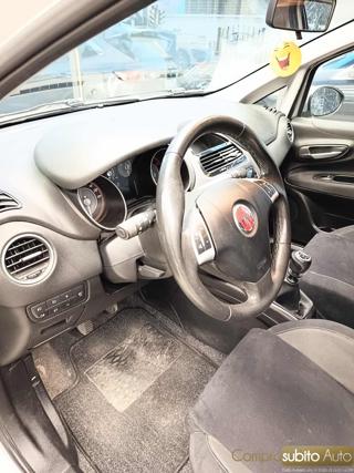 FIAT Punto usata 16