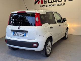 FIAT Panda usata 4
