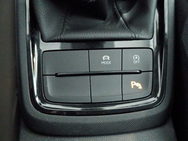 SKODA Kamiq usata, con Specchietti laterali elettrici