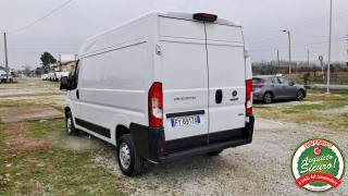 FIAT Ducato usata, con Cronologia tagliandi