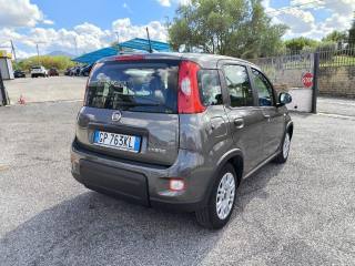 FIAT Panda usata 4