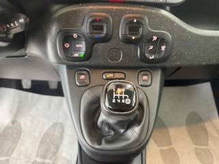 FIAT Panda Cross usata, con Immobilizzatore elettronico