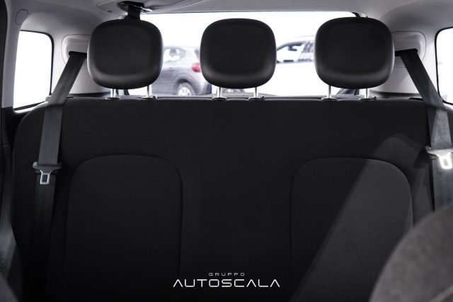 FIAT New Panda usata 19