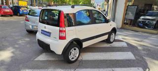 FIAT Panda usata, con Airbag