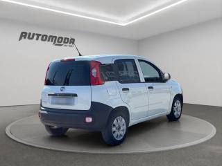 FIAT Panda usata, con Airbag Passeggero