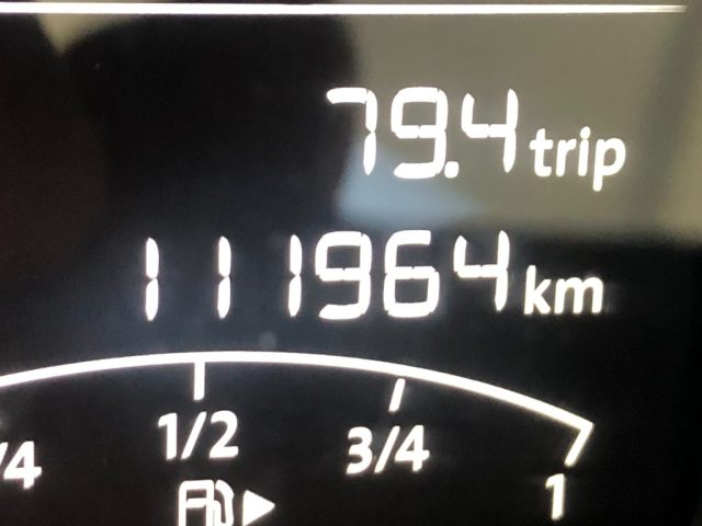 VOLKSWAGEN Polo usata 16