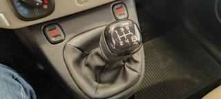 FIAT Panda usata 12