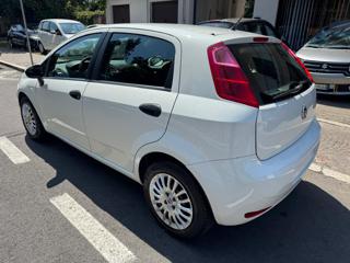 FIAT Punto usata, con Airbag Passeggero