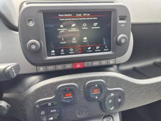 FIAT Panda Cross usata, con Fendinebbia