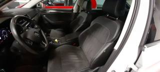 SKODA Superb usata, con Fendinebbia