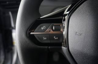 PEUGEOT 2008 usata, con Volante in pelle