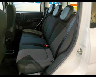 FIAT New Panda usata 18